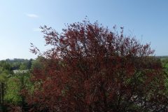 DCIM100MEDIADJI_0129.JPG