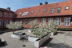 DCIM100MEDIADJI_0160.JPG